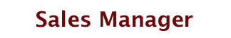 salesmanager1.jpg (10976 bytes)